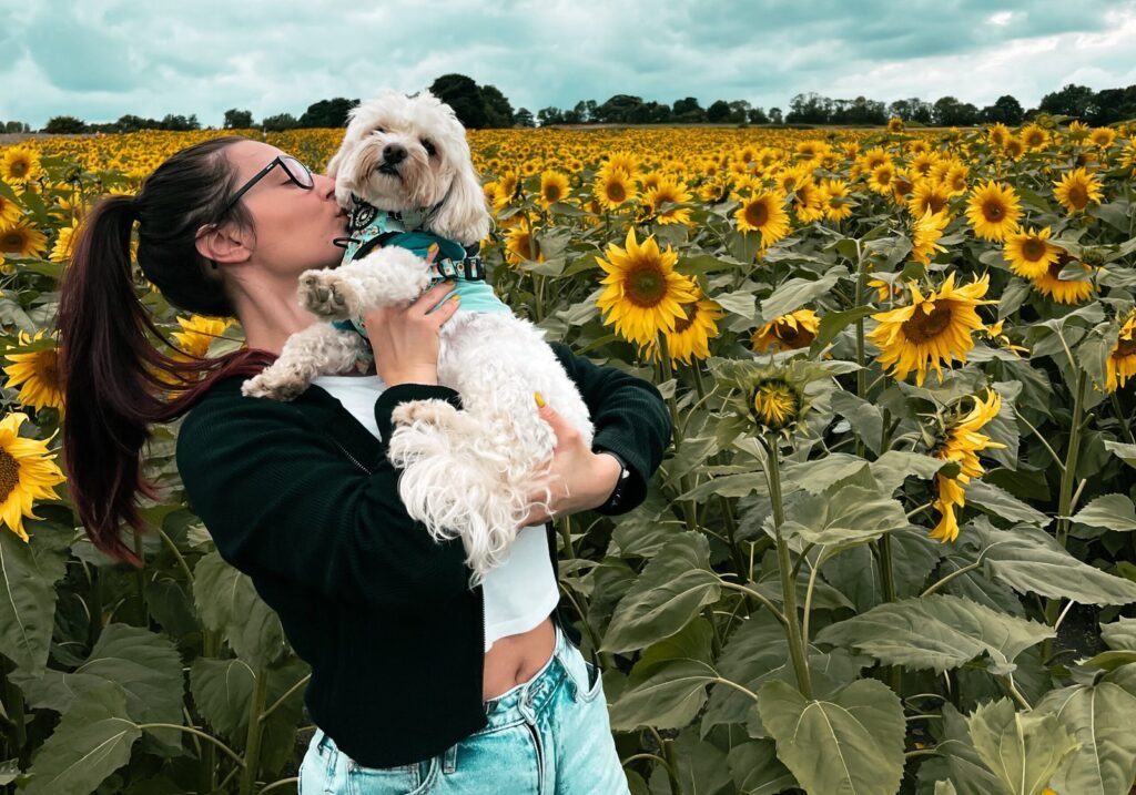 I’m Elena and this is our travel diary