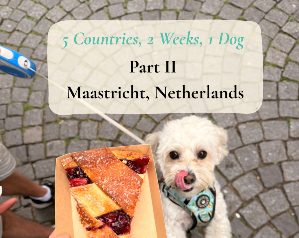 5 Countries, 2 Weeks, 1 Dog – Part 2: Maastricht, Netherlands