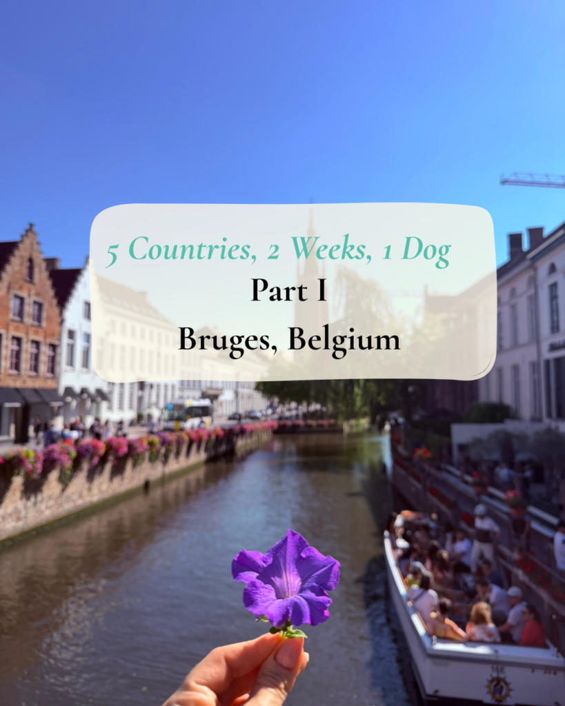 5 Countries, 2 Weeks, 1 Dog – Part 1: Bruges, Belgium