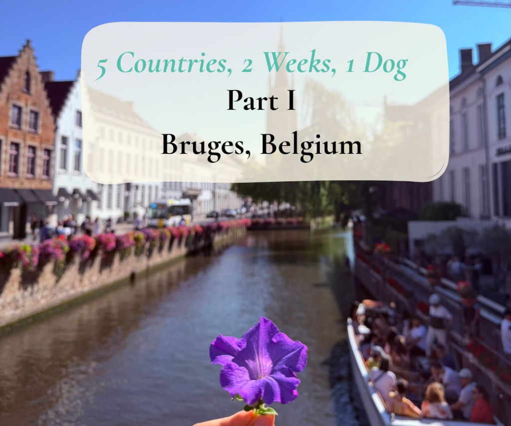 5 Countries, 2 Weeks, 1 Dog – Part 1: Bruges, Belgium