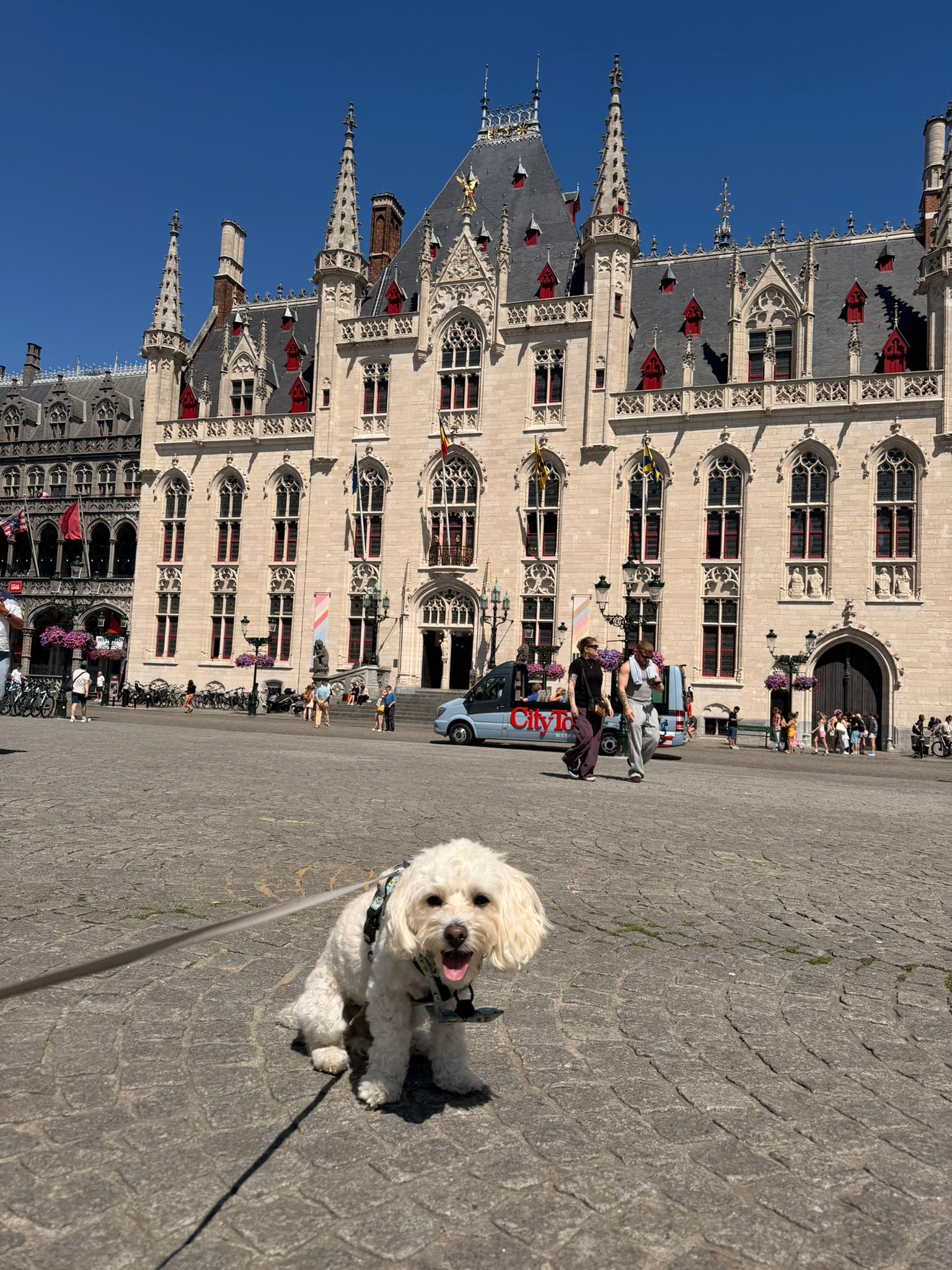 Cookie, main character energy in front of the Burg