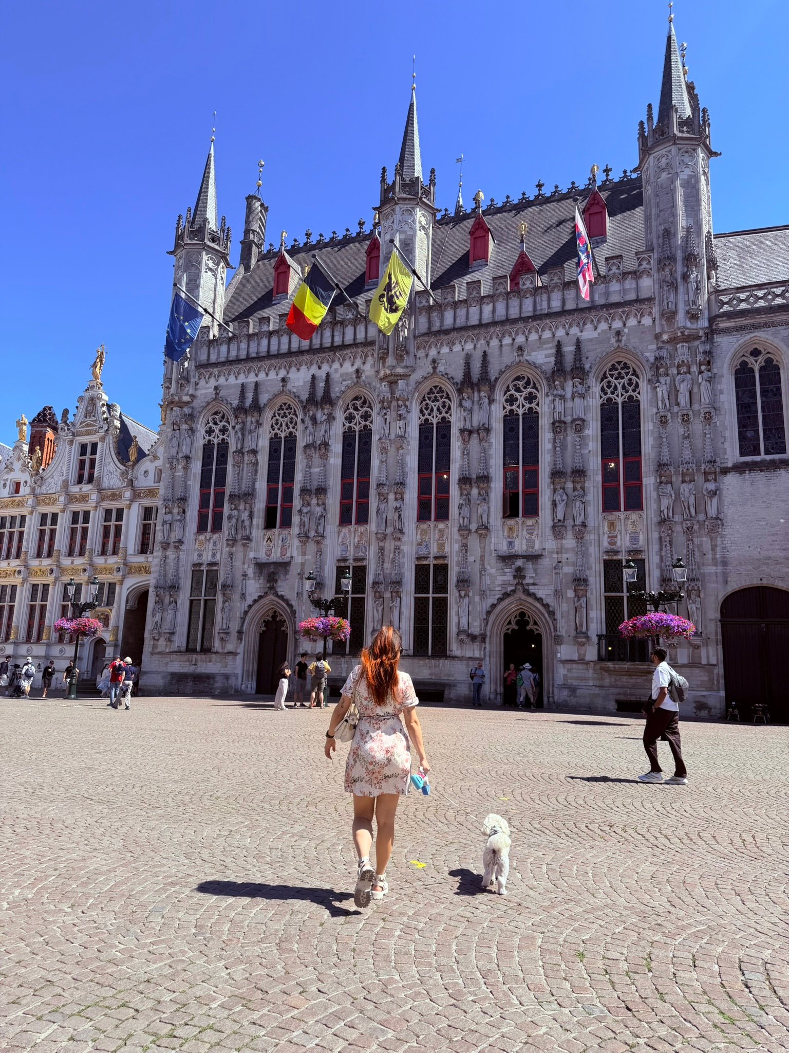 Walking Cookie toward Burg Square, no idea what the night still had planned