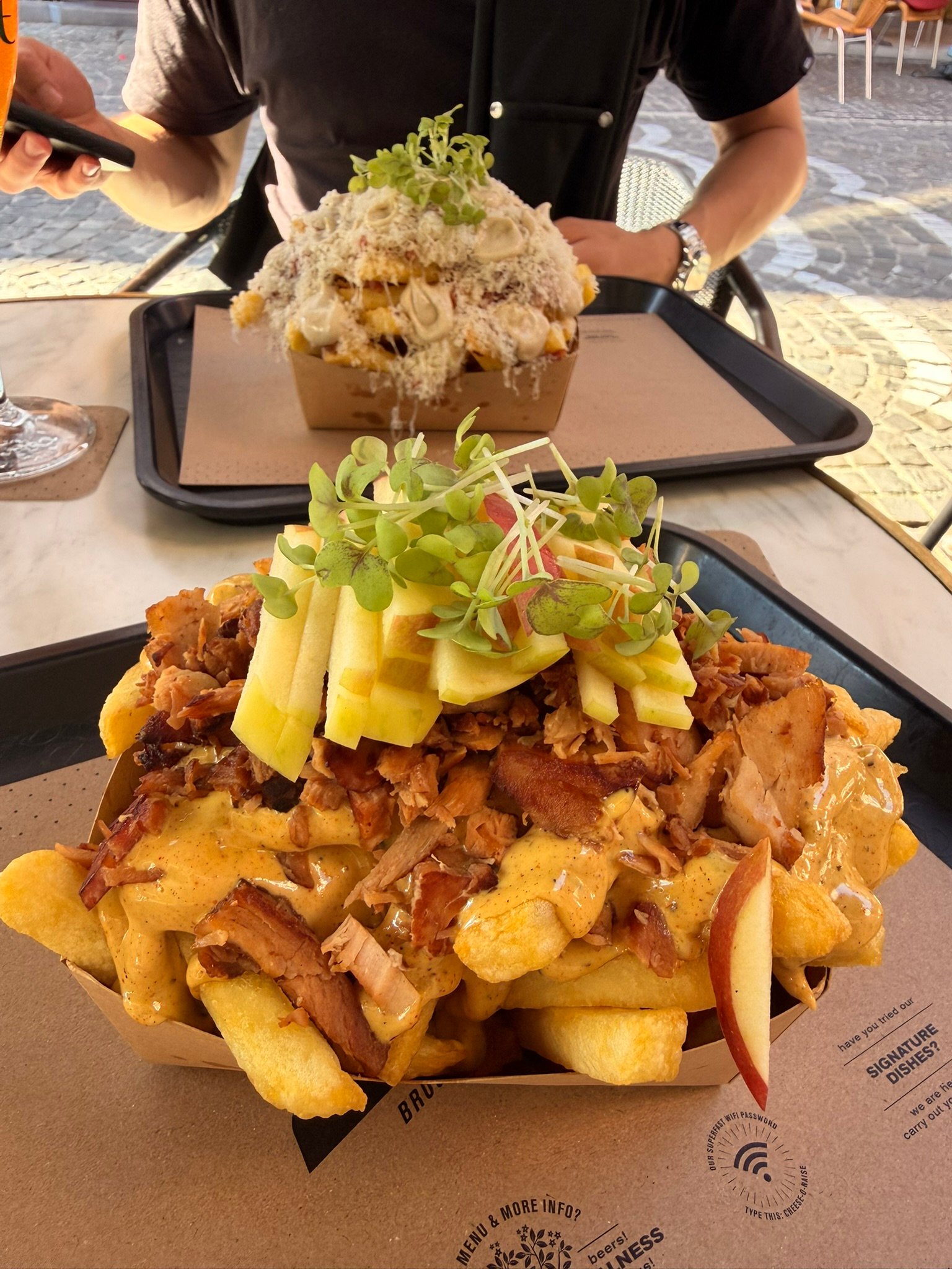 The loaded fries in question