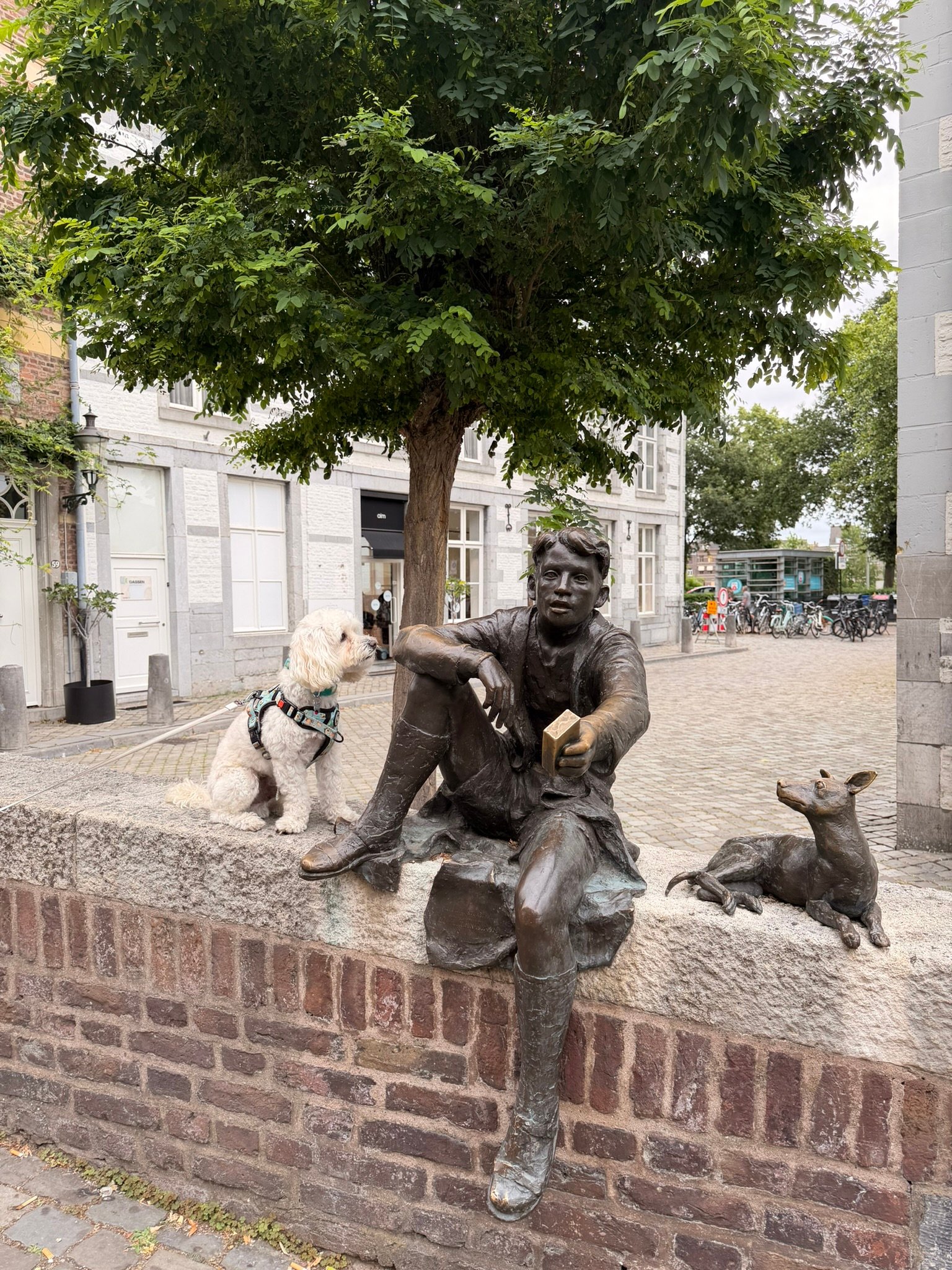 Cookie meeting Pieke's bronze dog on Stokstraat