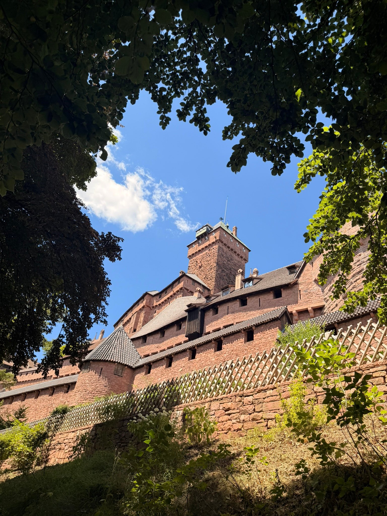 Château du Haut-Koenigsbourg perched on the hill