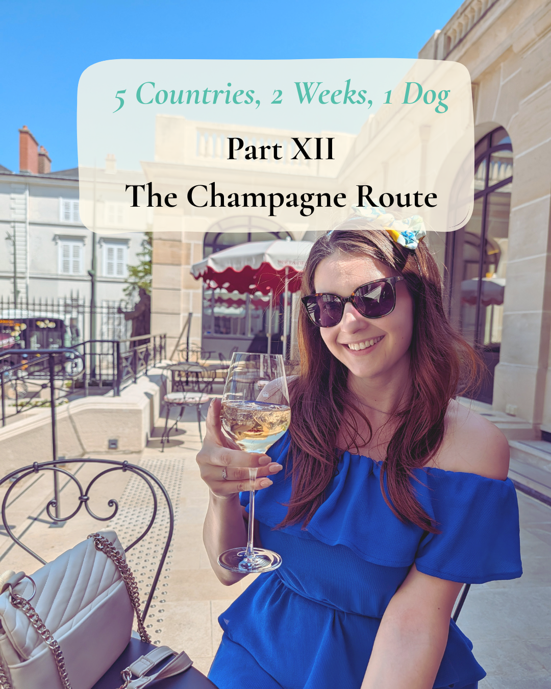 Cookie on the Champagne Route, France