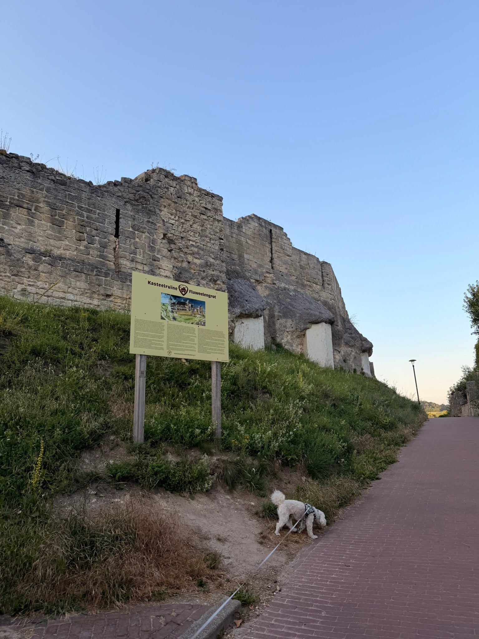 The walls of Valkenburg castle ruins at dusk with an information sign for Kasteelruine Fluweelengrot and Cookie the dog on the path below