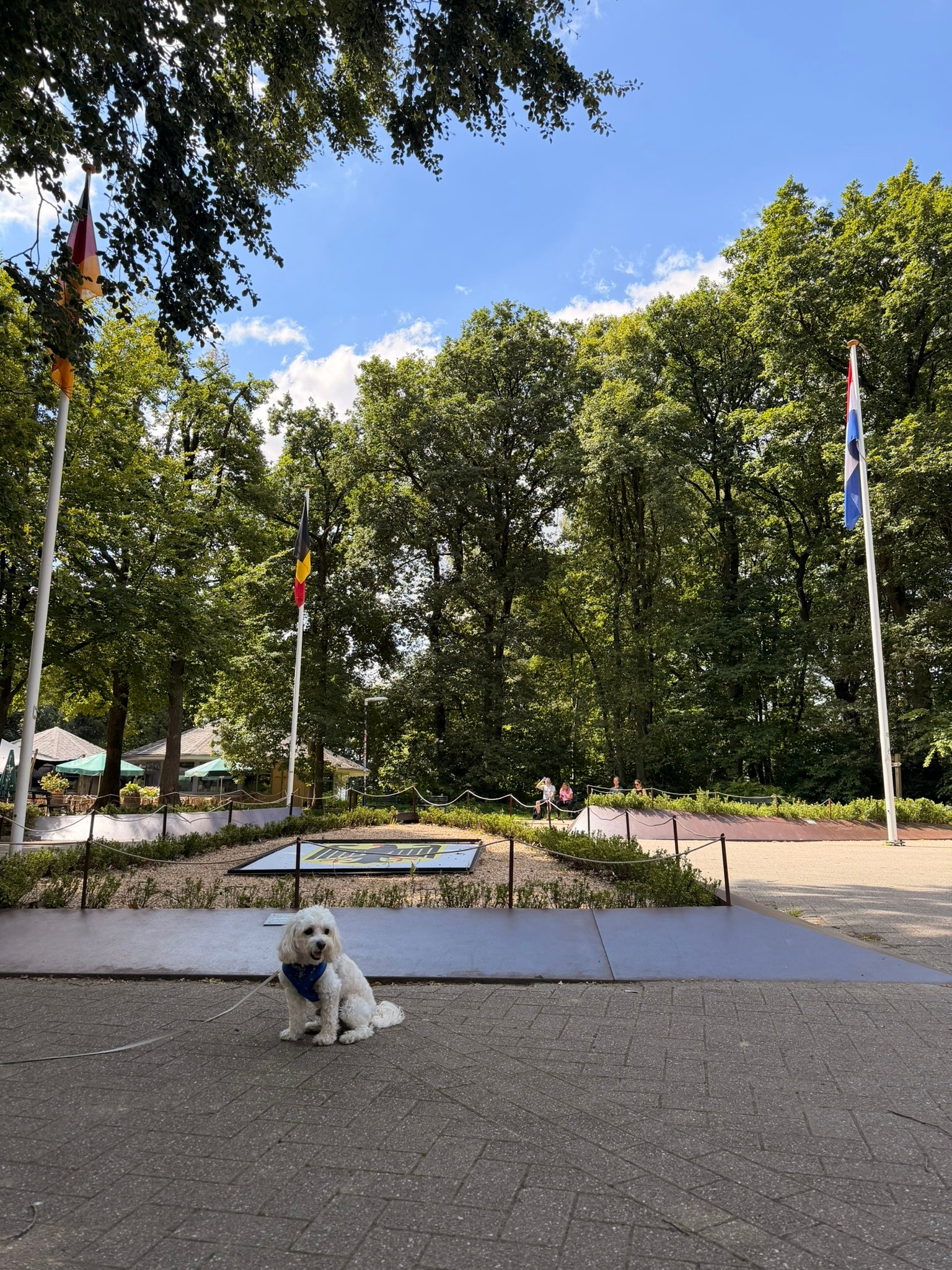 Cookie sitting in front of the NL/B border marker stone