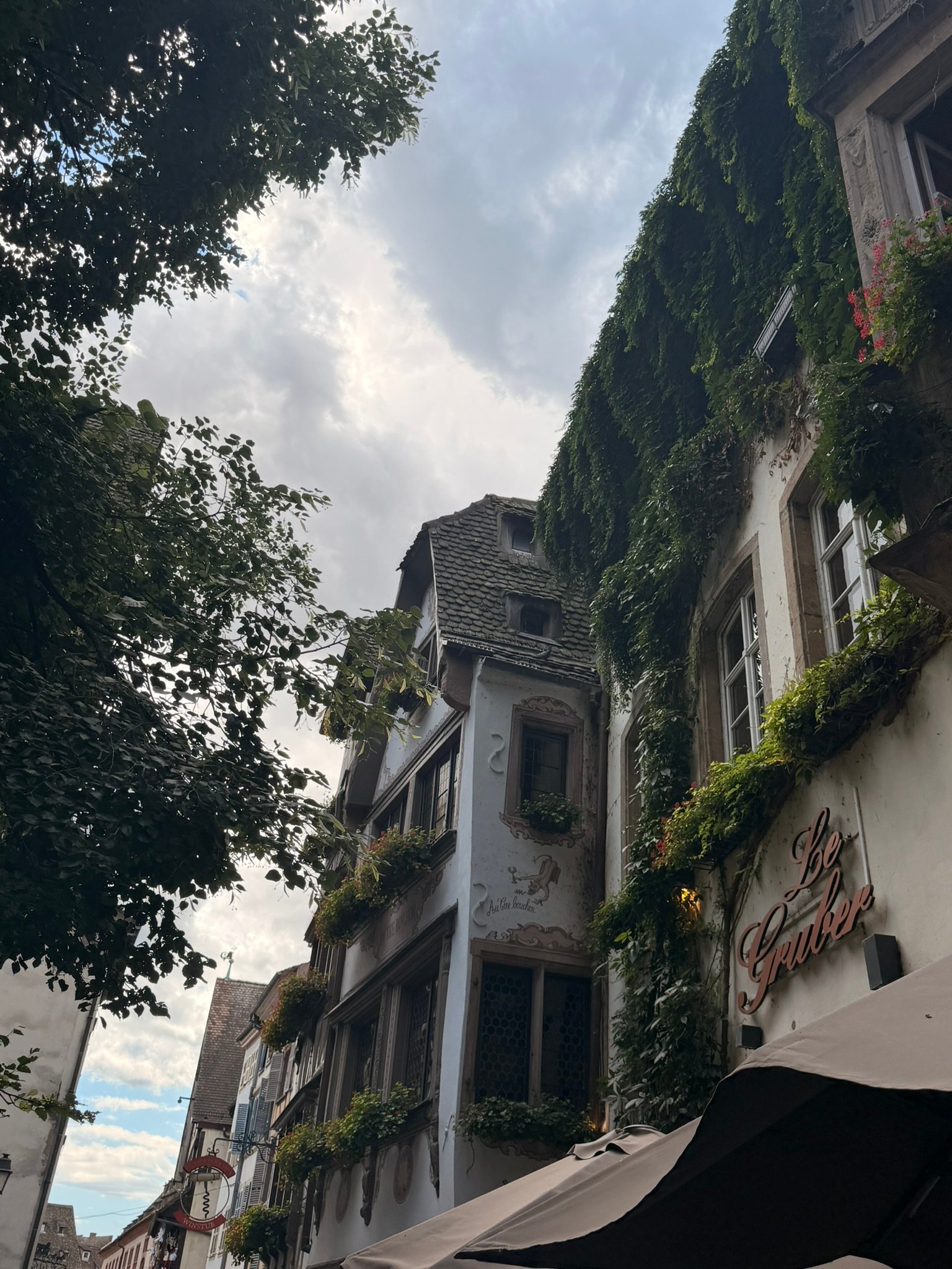 An ivy-covered building in Strasbourg's old town
