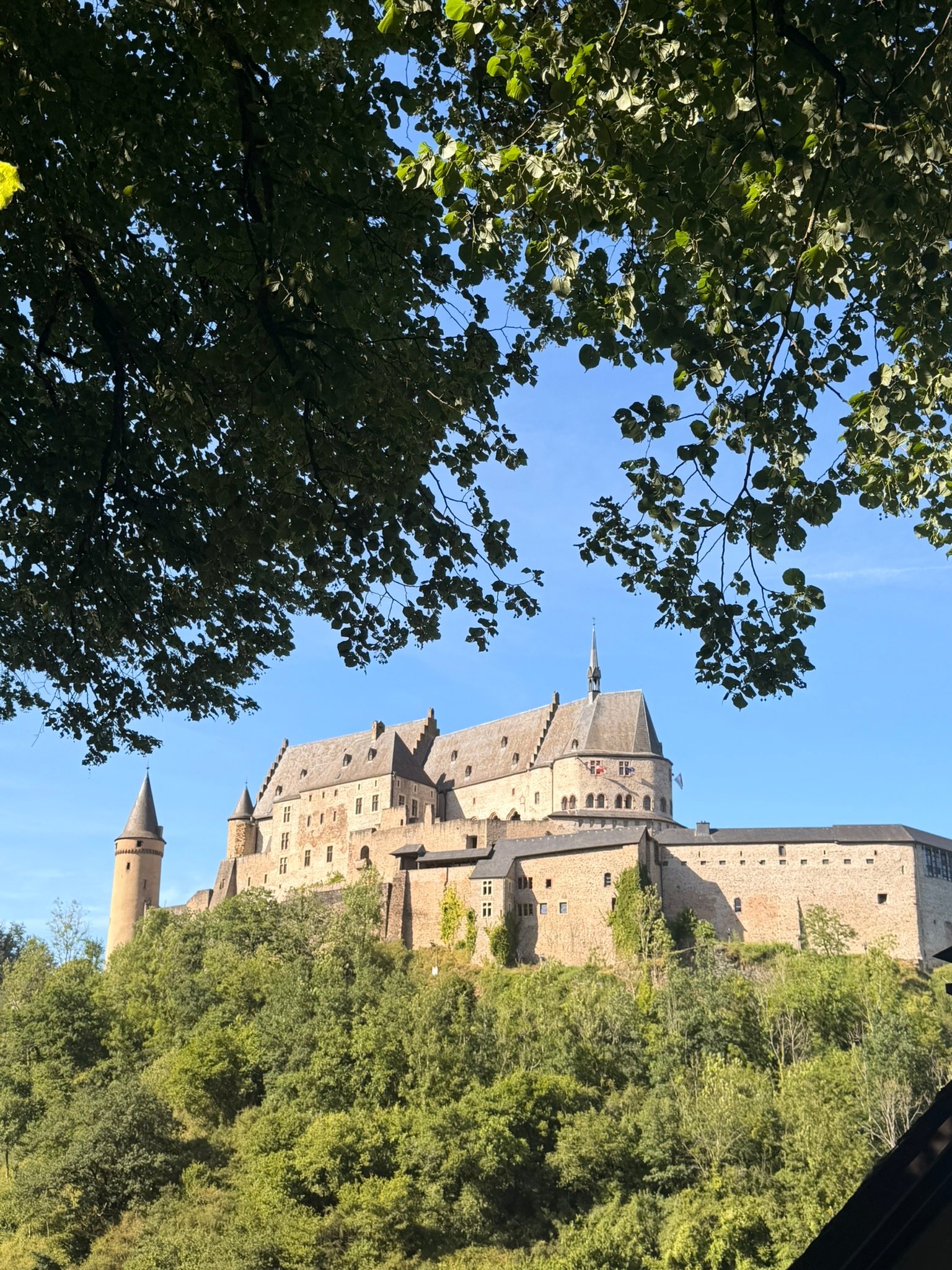 Vianden Castle up on the hill in the afternoon light