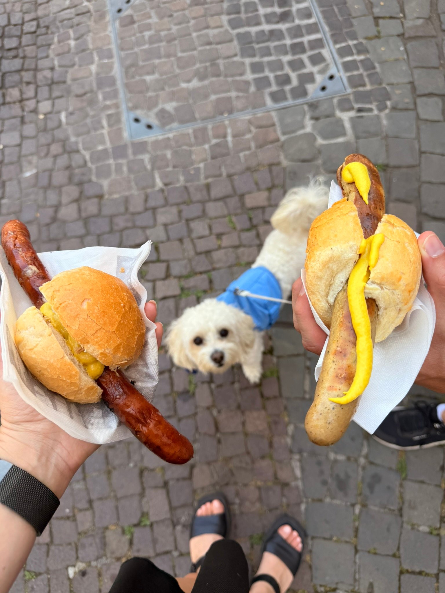Cookie with the food from the market in Saarbrücken