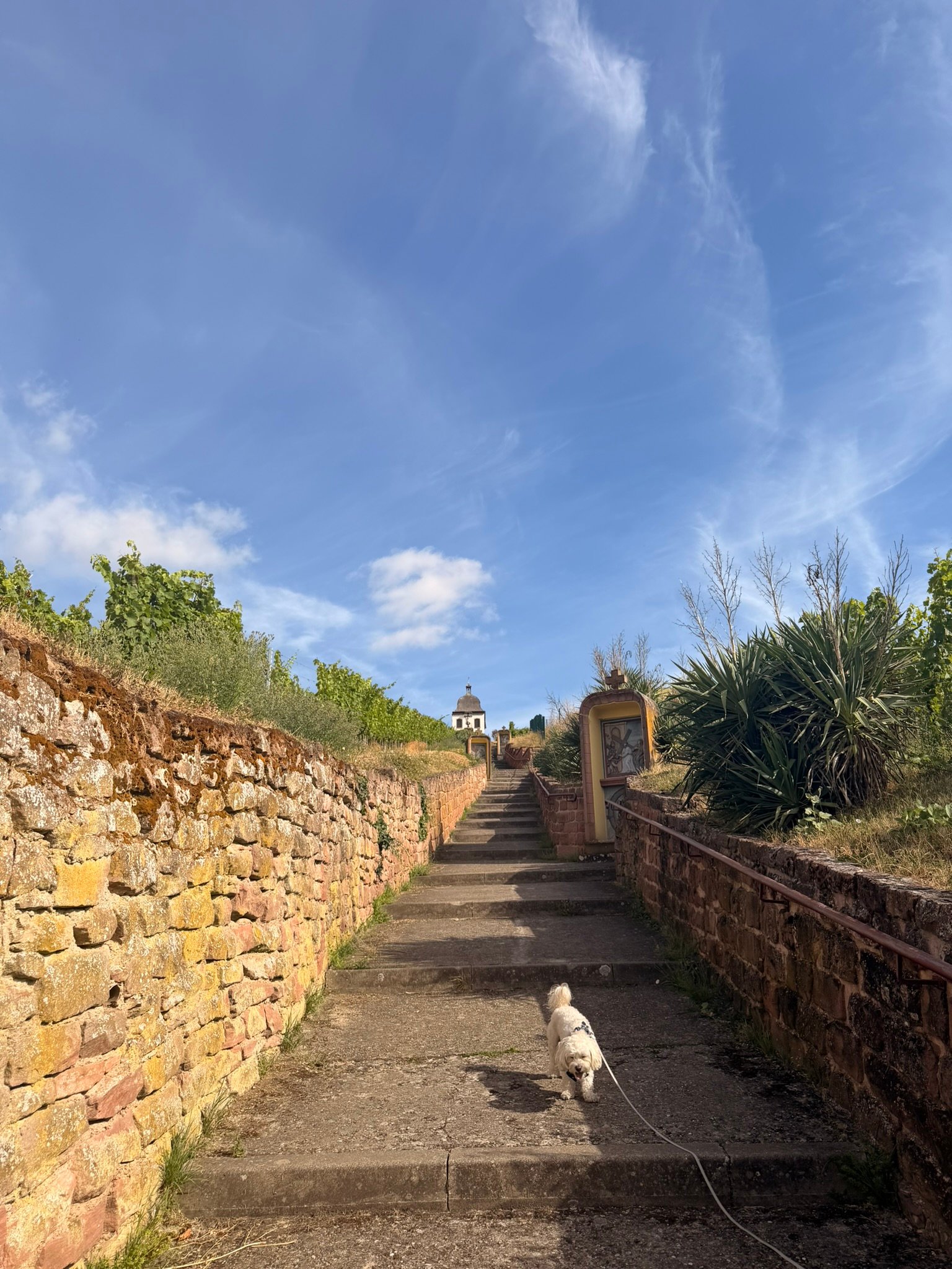Walking up the hill toward the Marlenberg chapel in Marlenheim