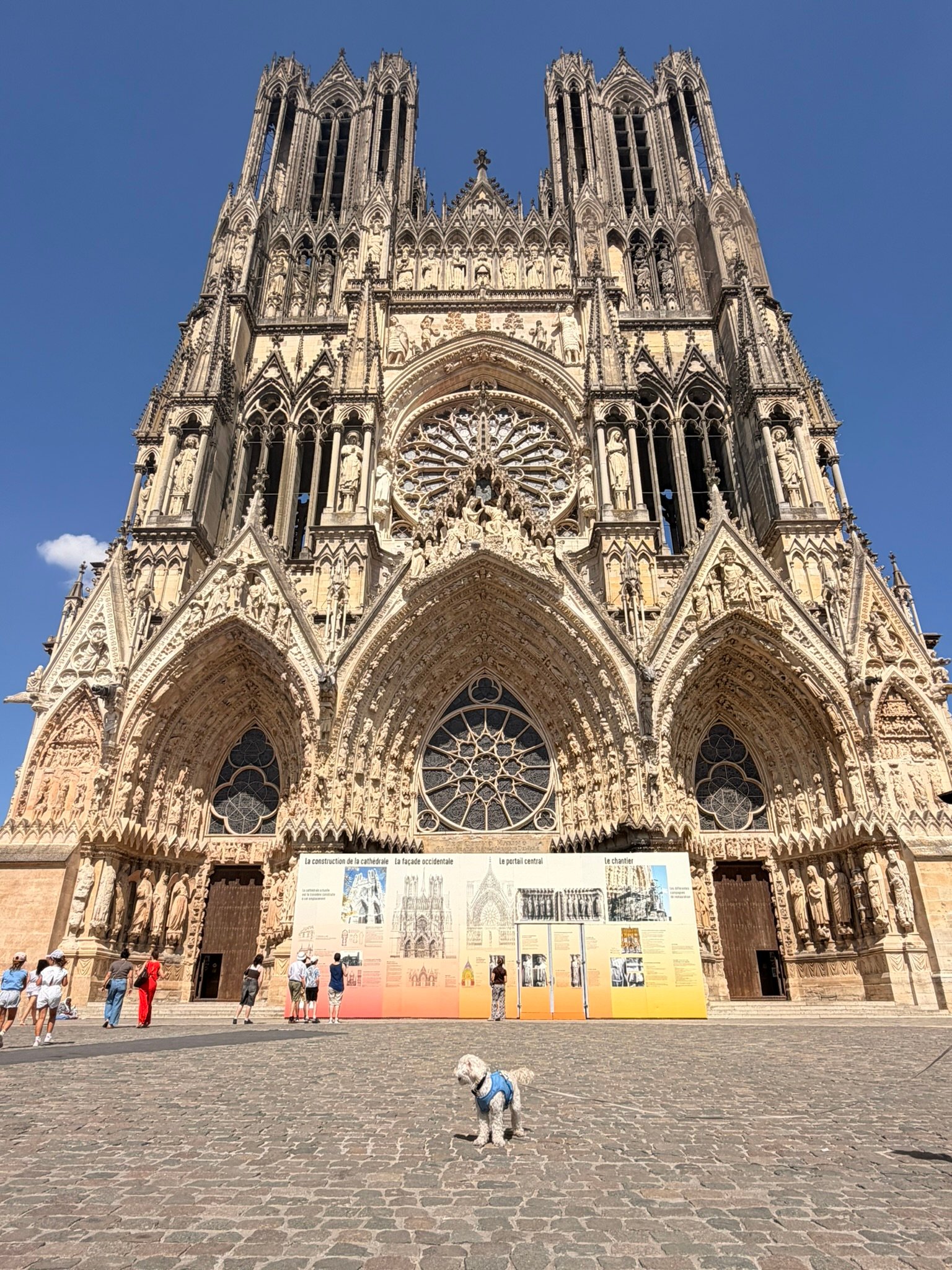 Reims Cathedral