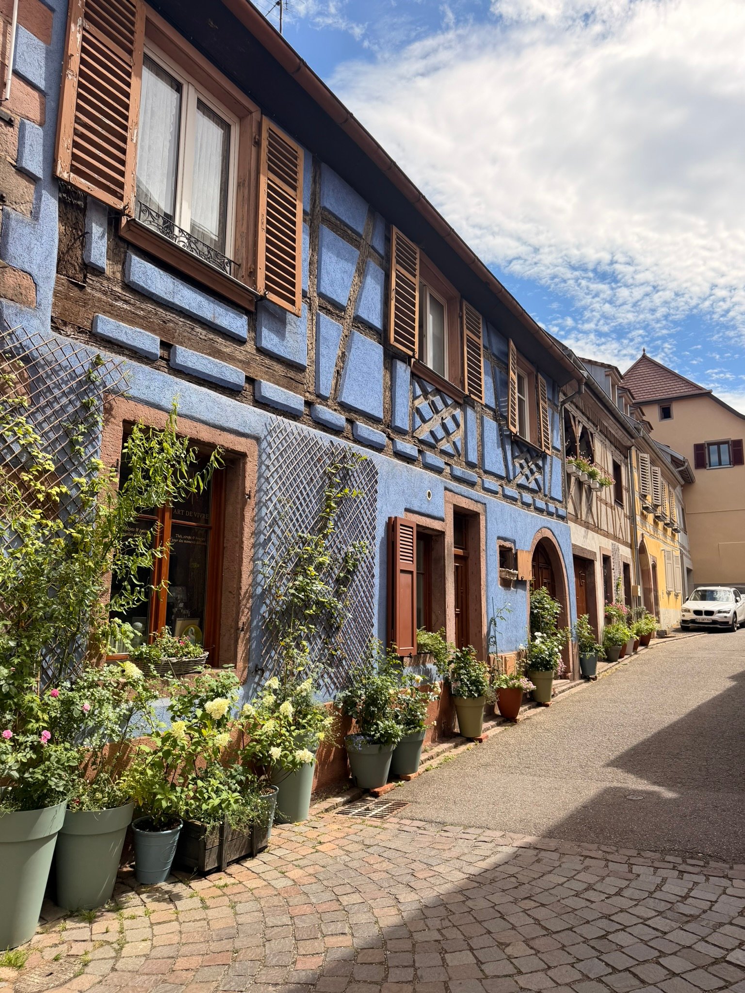 Blue half-timbered house in Ribeauvillé