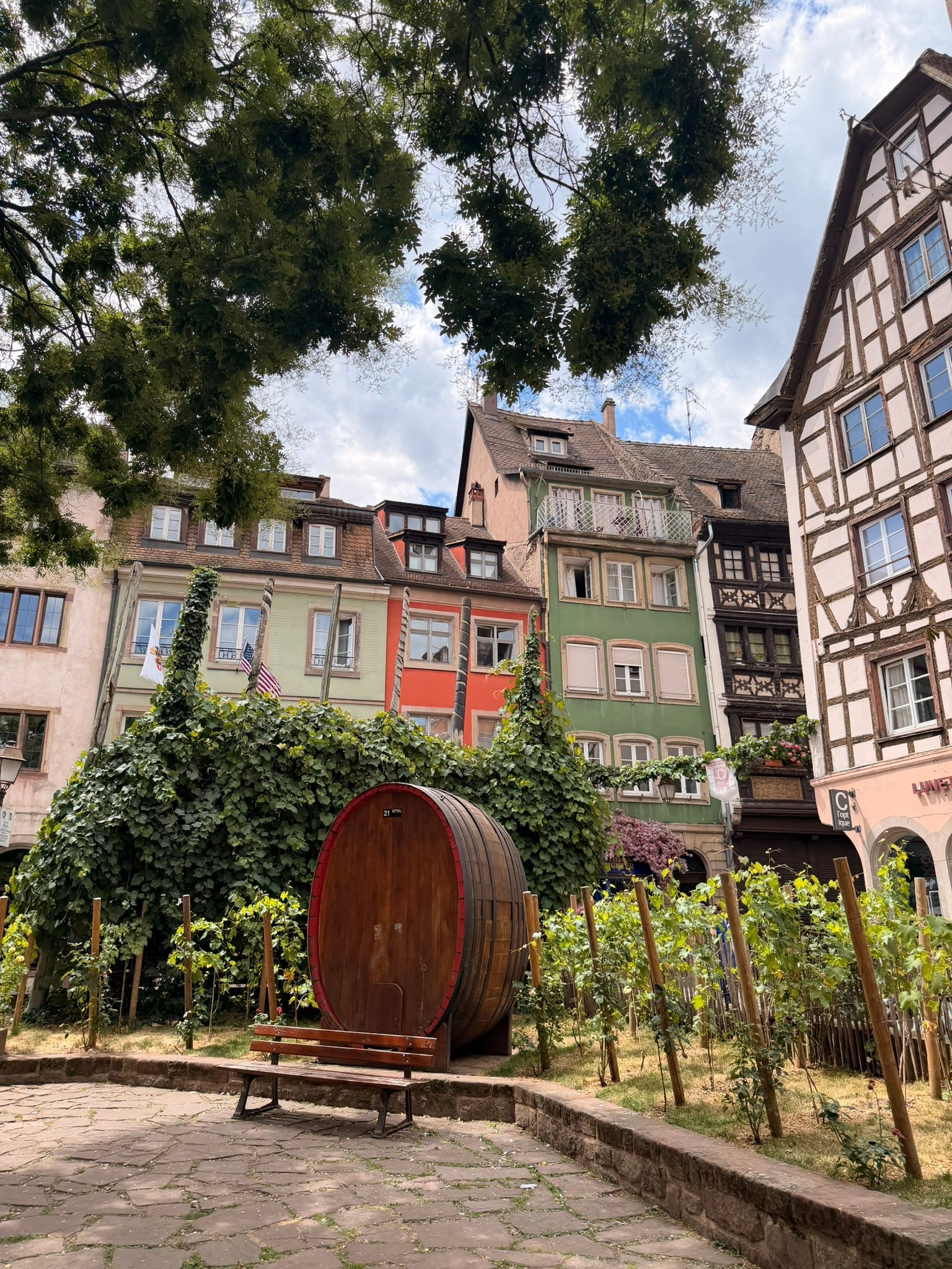 A wine barrel in Strasbourg