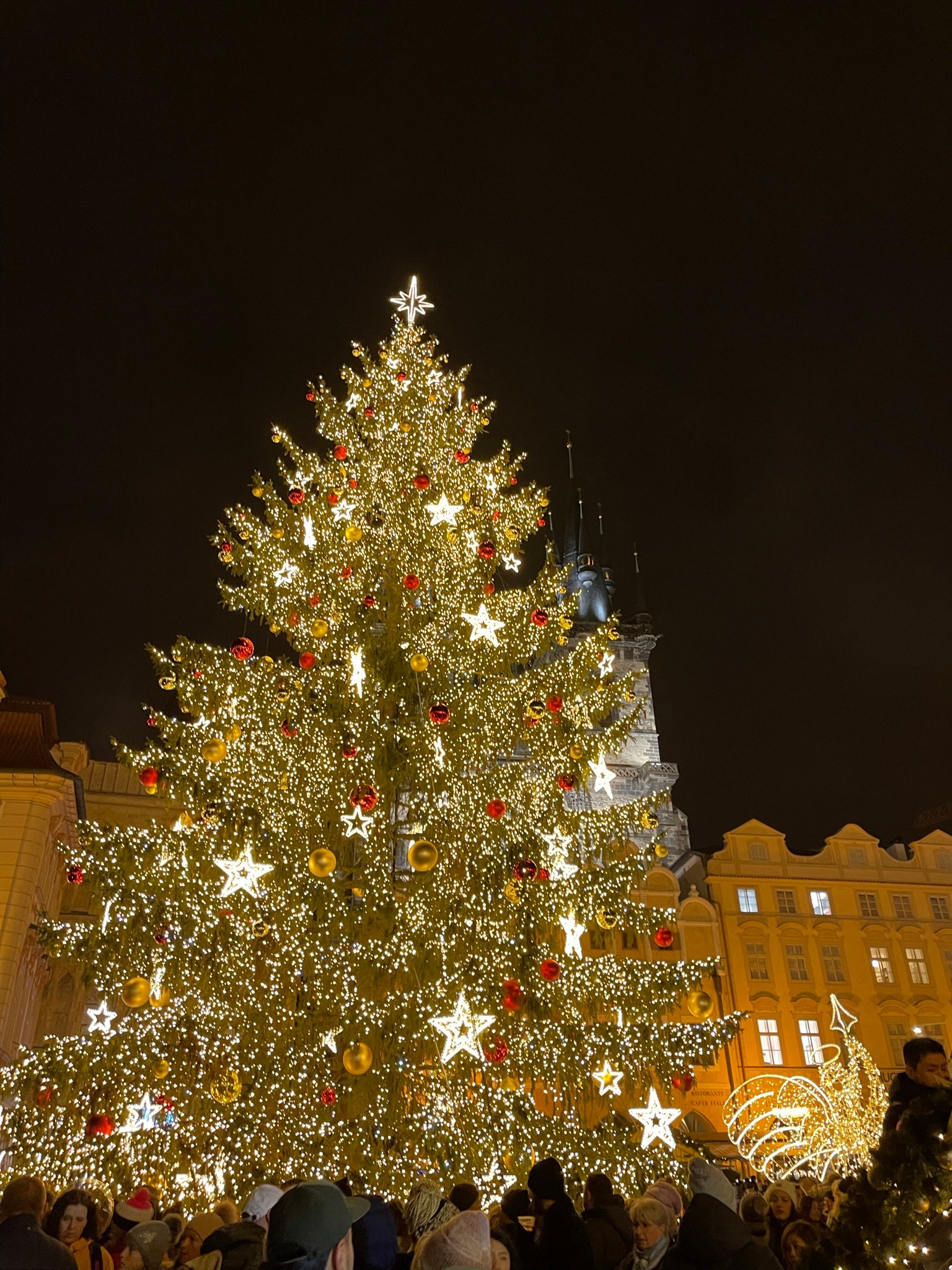 The Christmas tree in Prague's Old Town Square