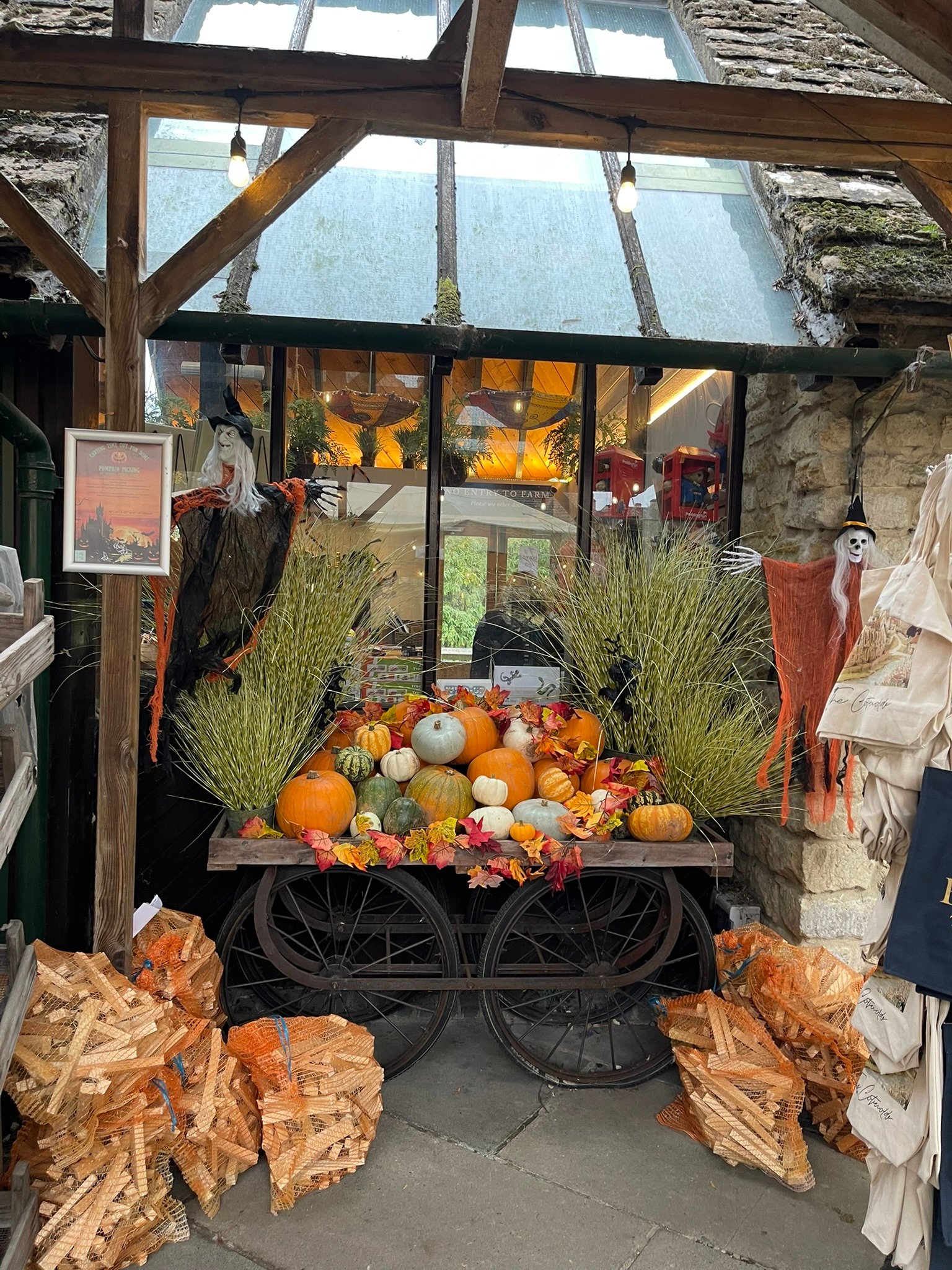 Cotswolds pumpkins