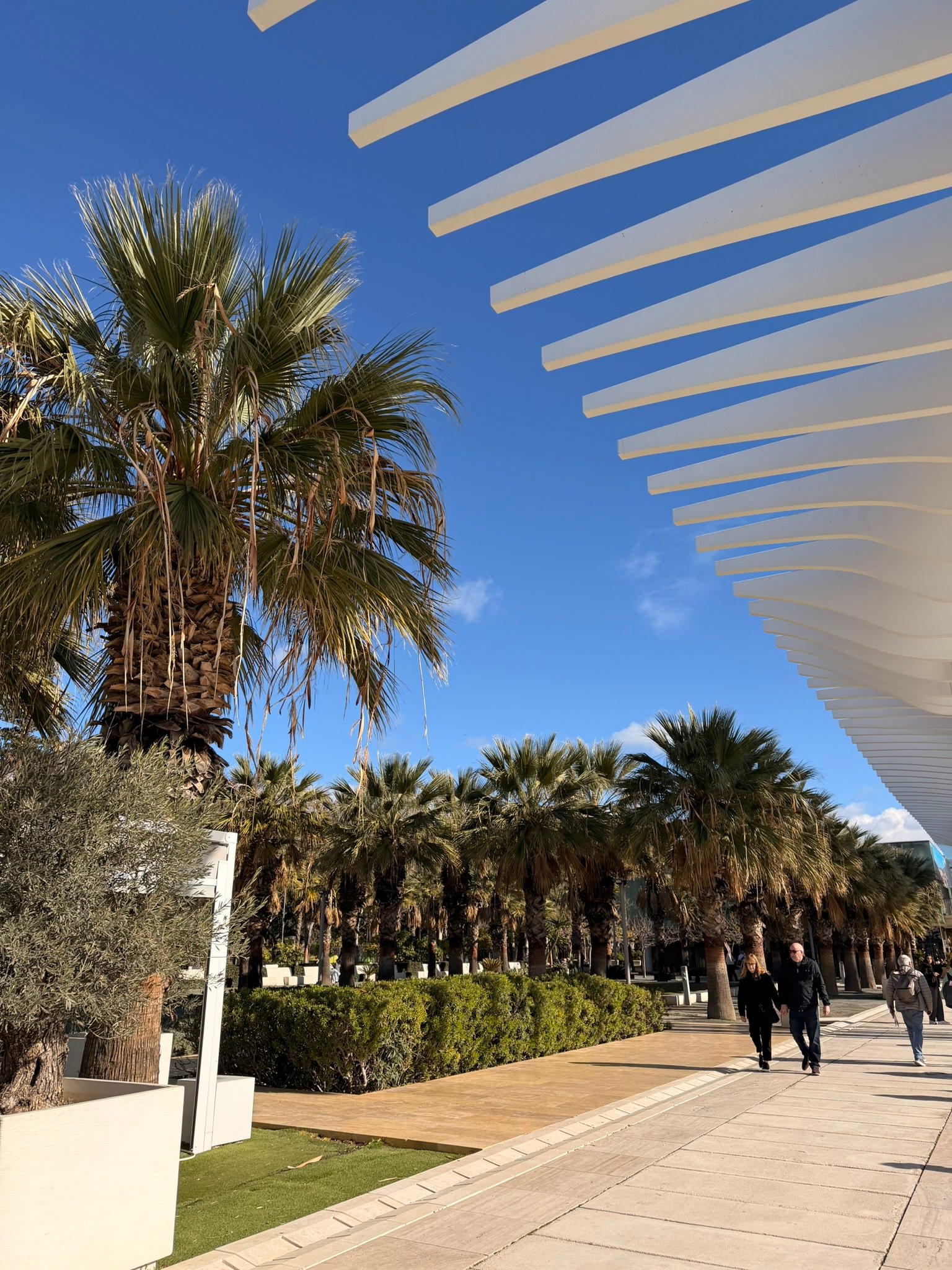 Málaga beach