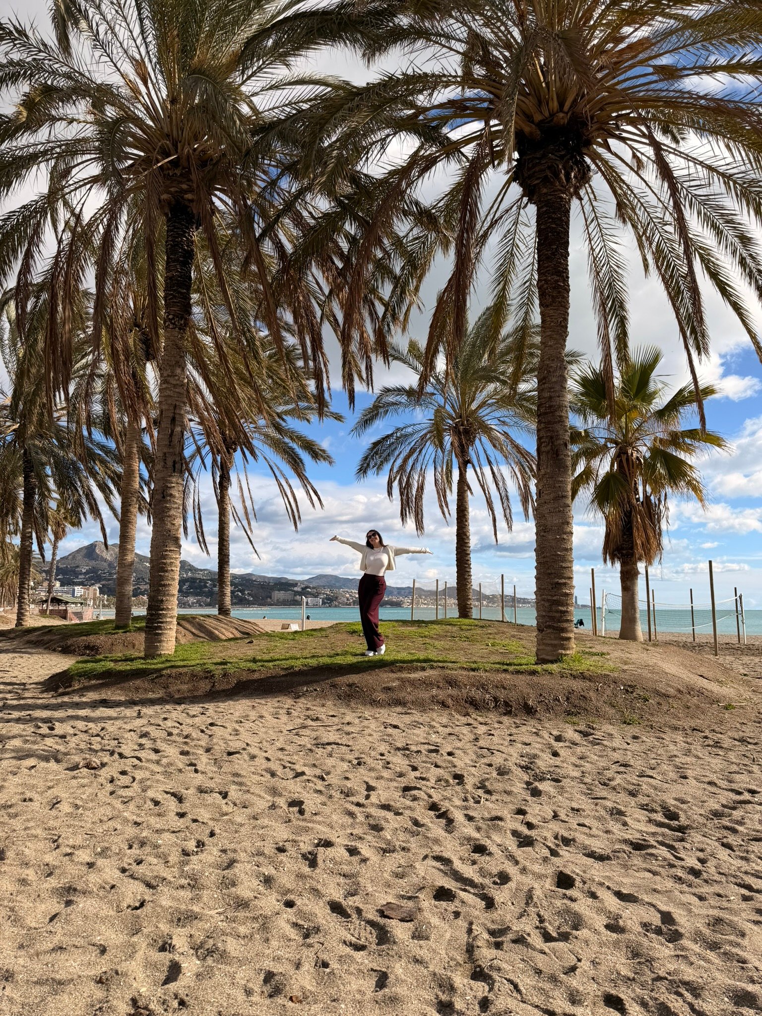 Málaga palm trees