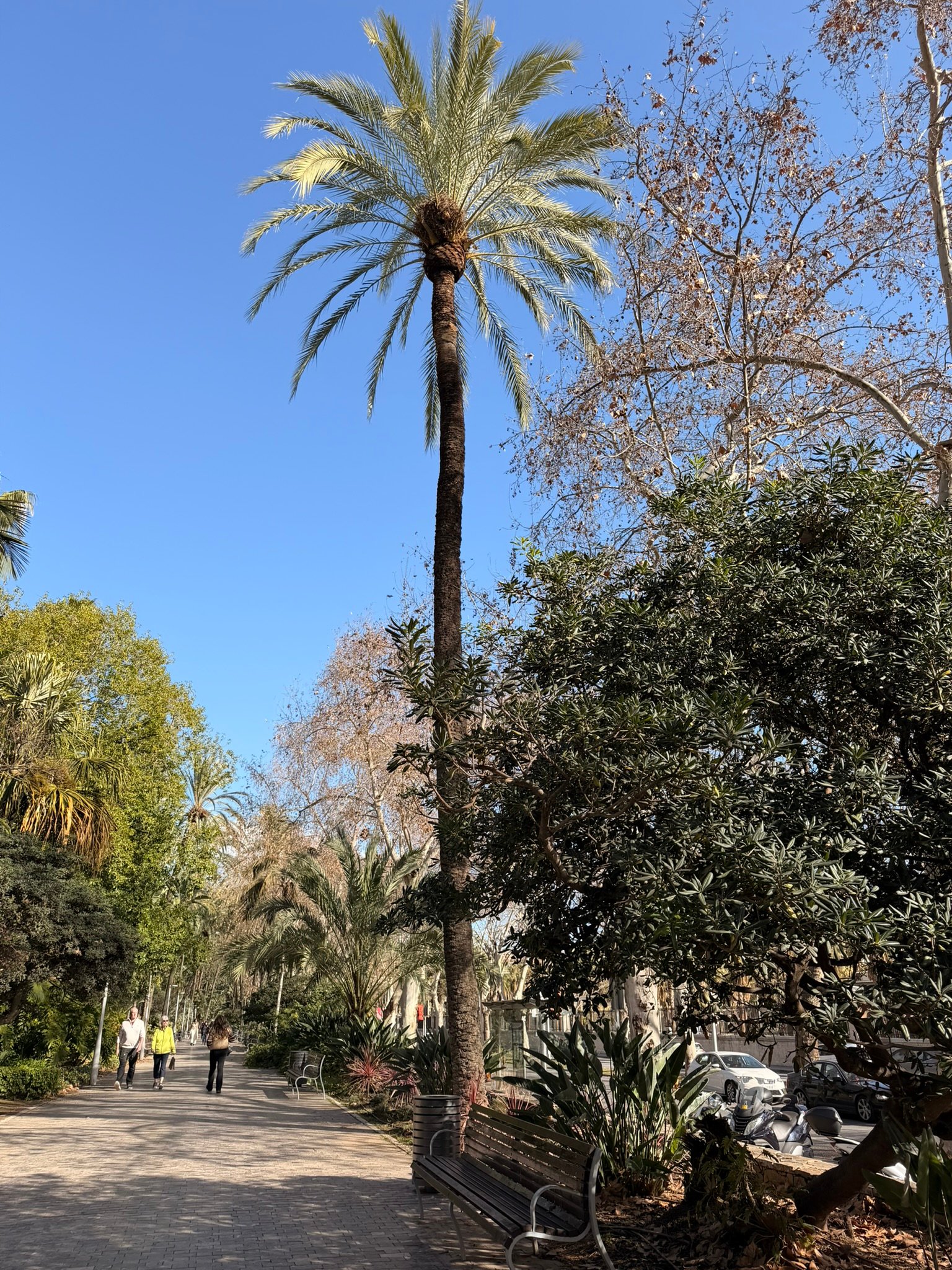 Málaga Park