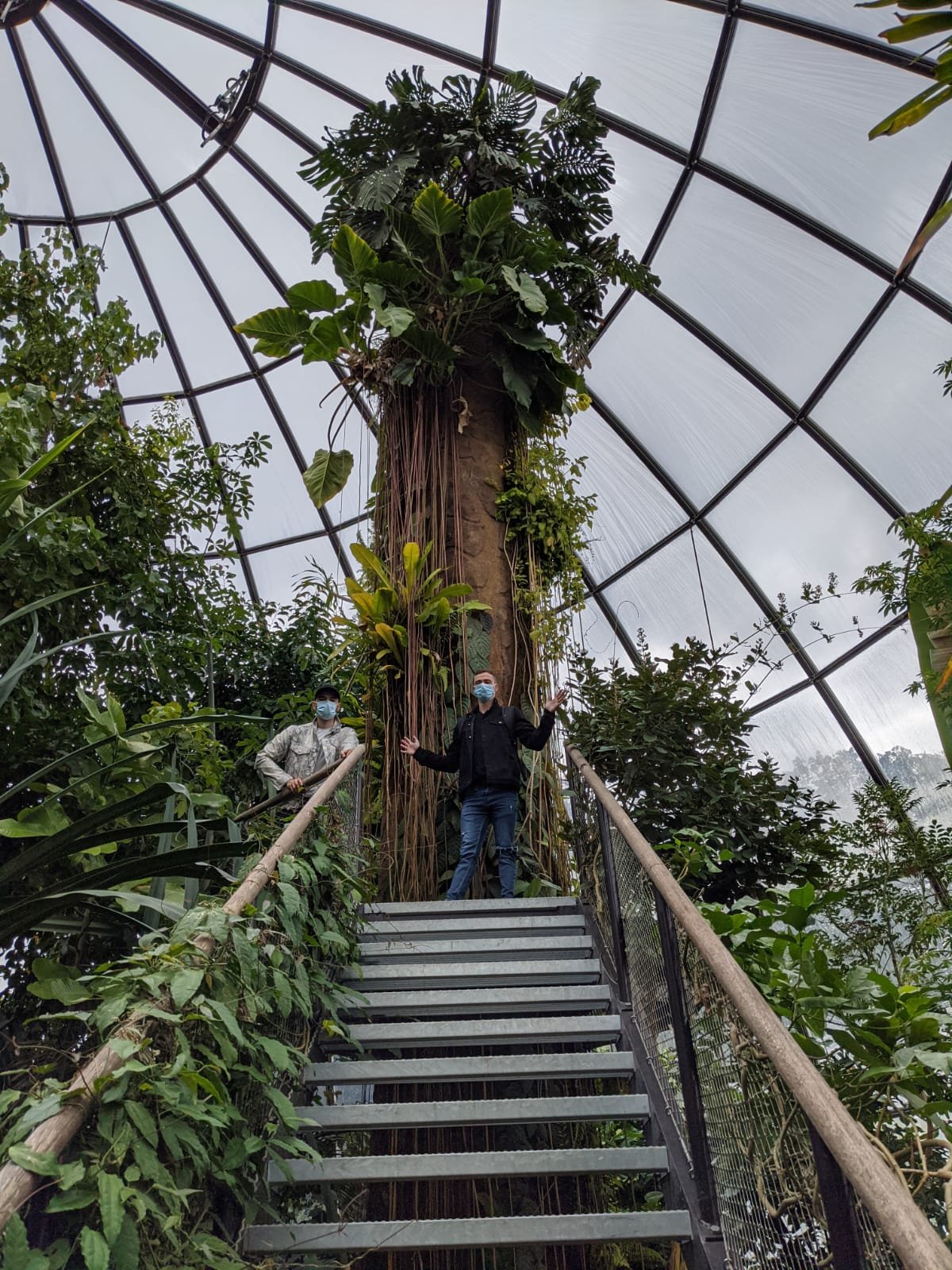 Zurich Botanical Garden