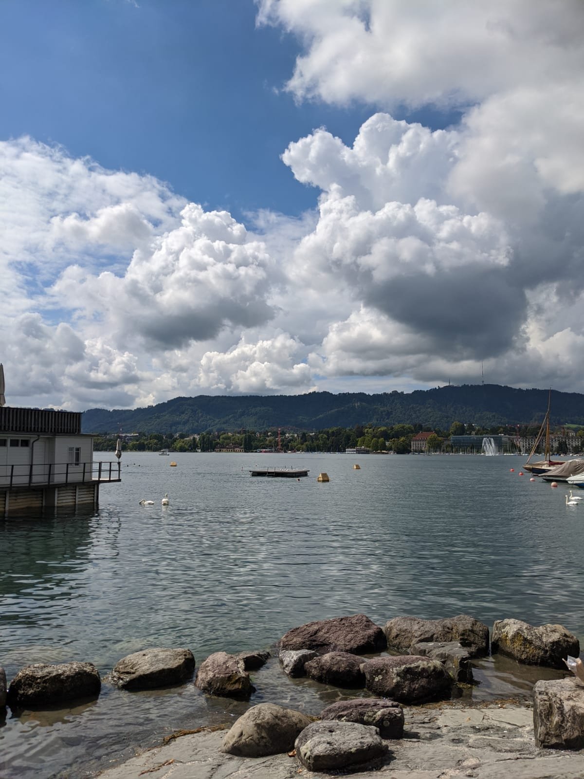 Zürichsee