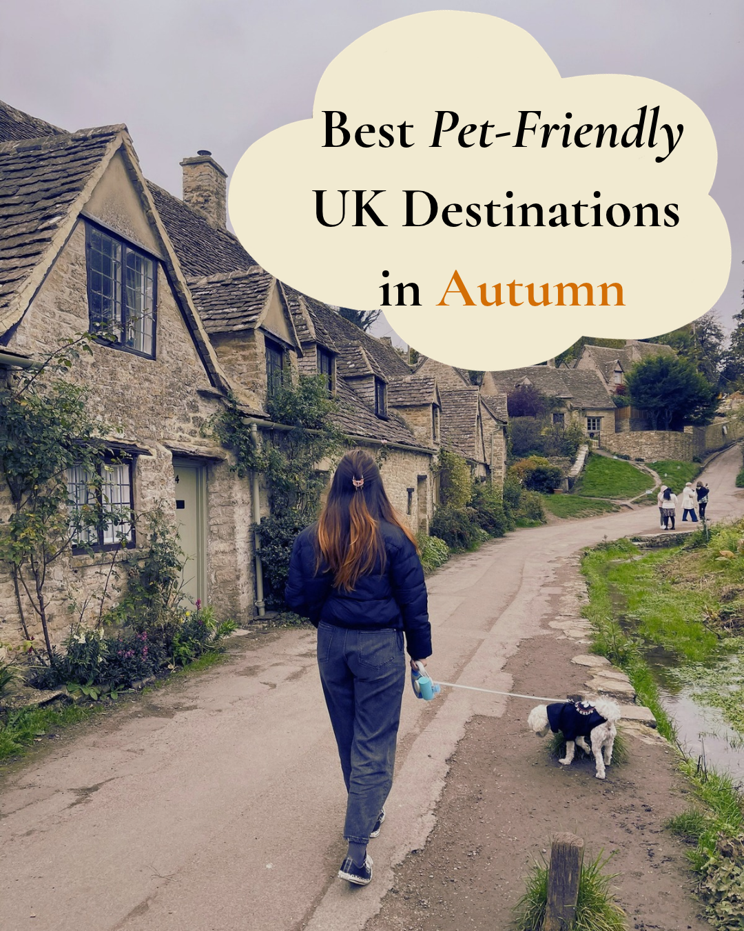 Pet-friendly UK destinations in autumn with Cookie