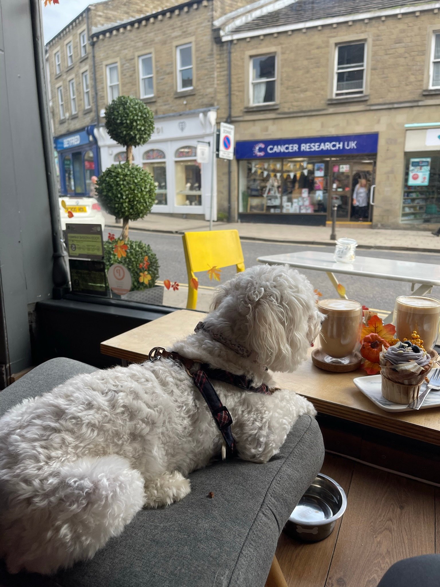 A coffee shop in Skipton
