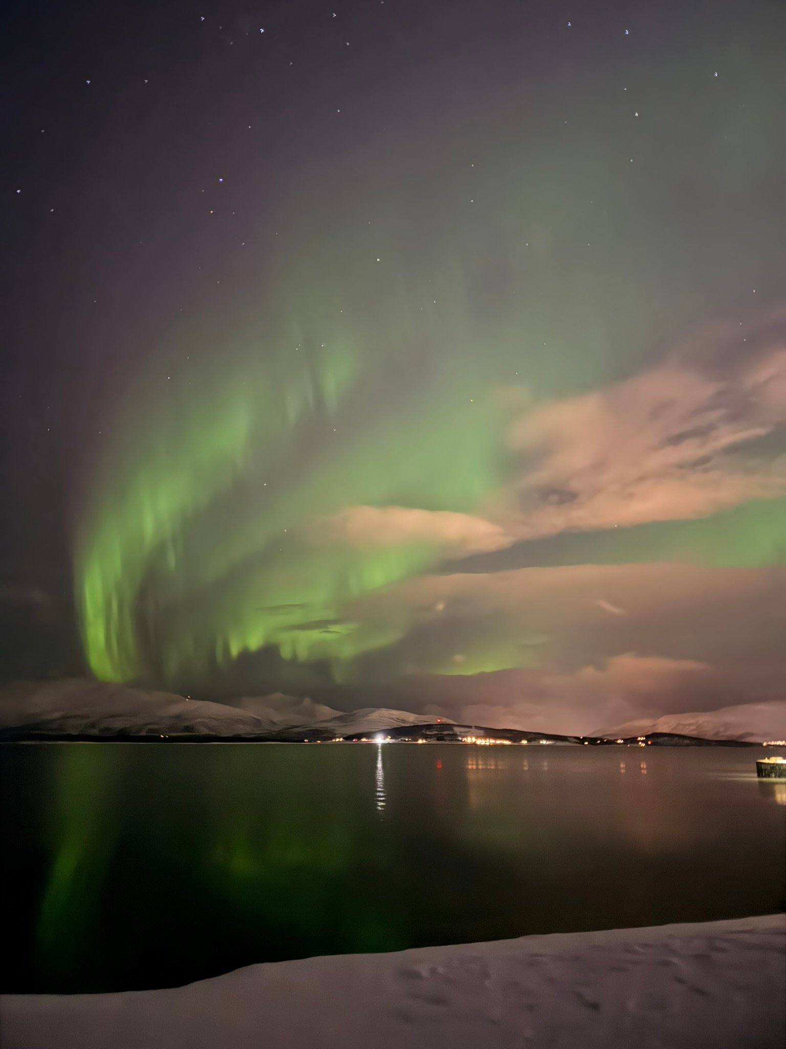 The northern lights filling the sky in blue and green