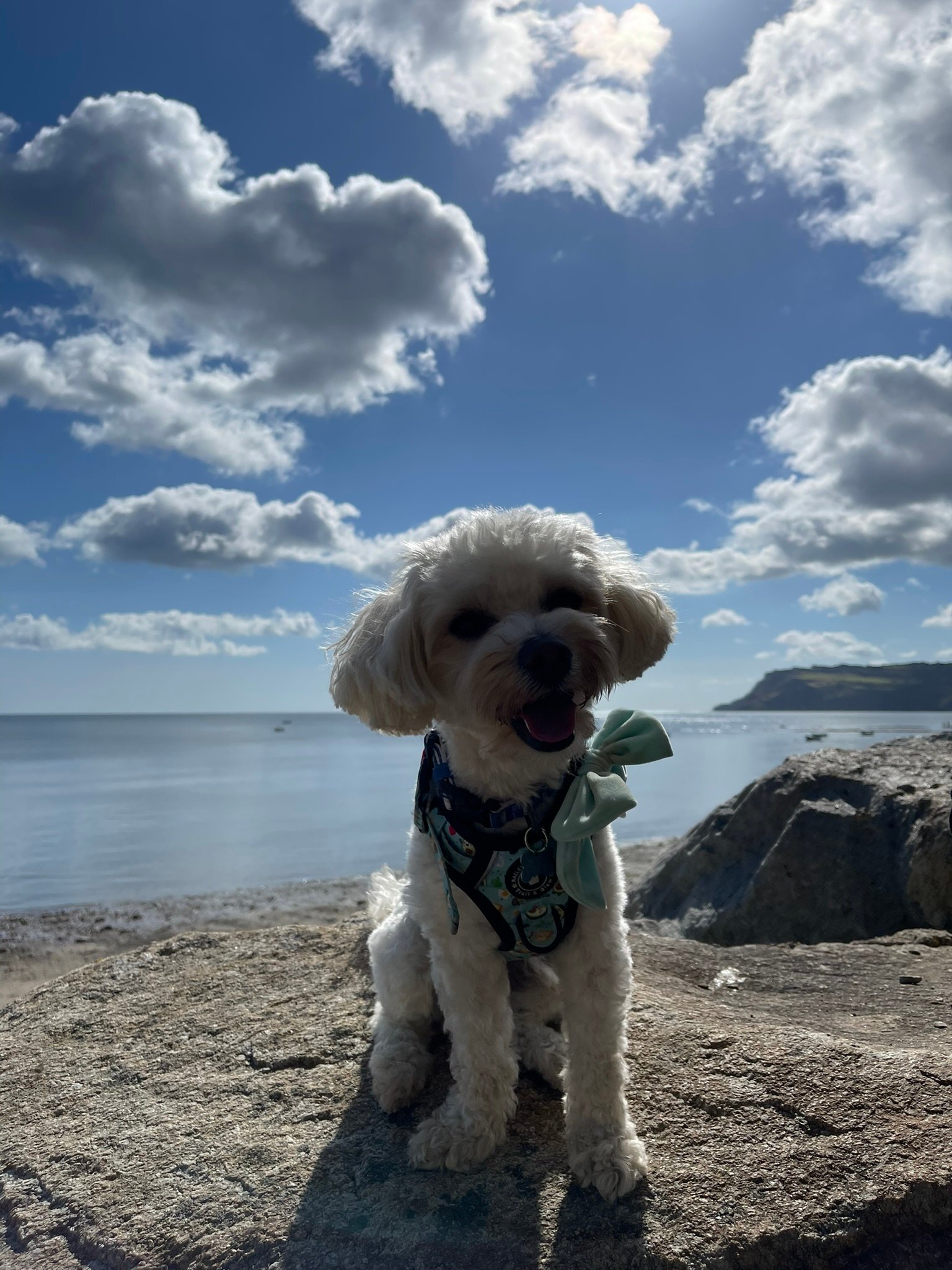 Robin Hood's Bay beach