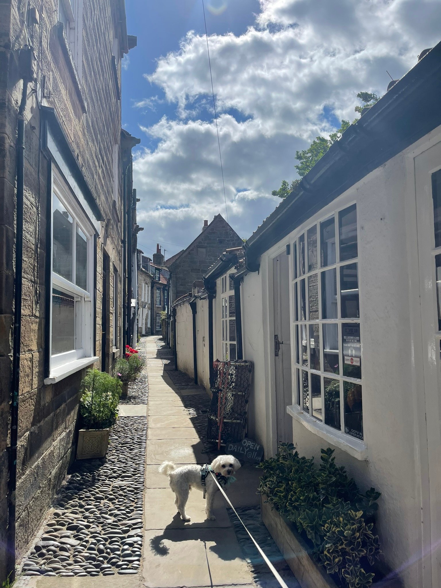 A street in Robin Hood's Bay