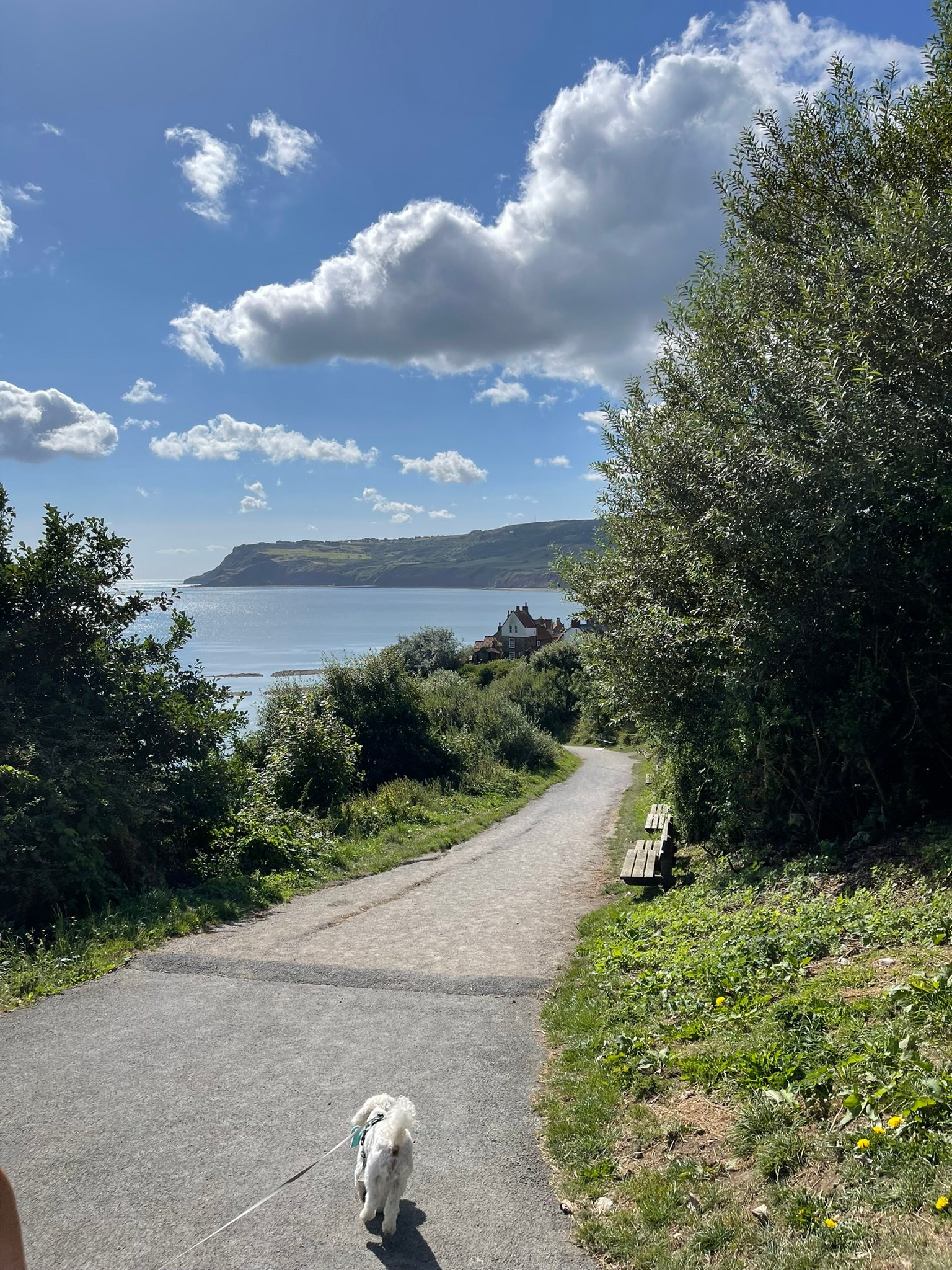 A trail at Robin Hood's Bay