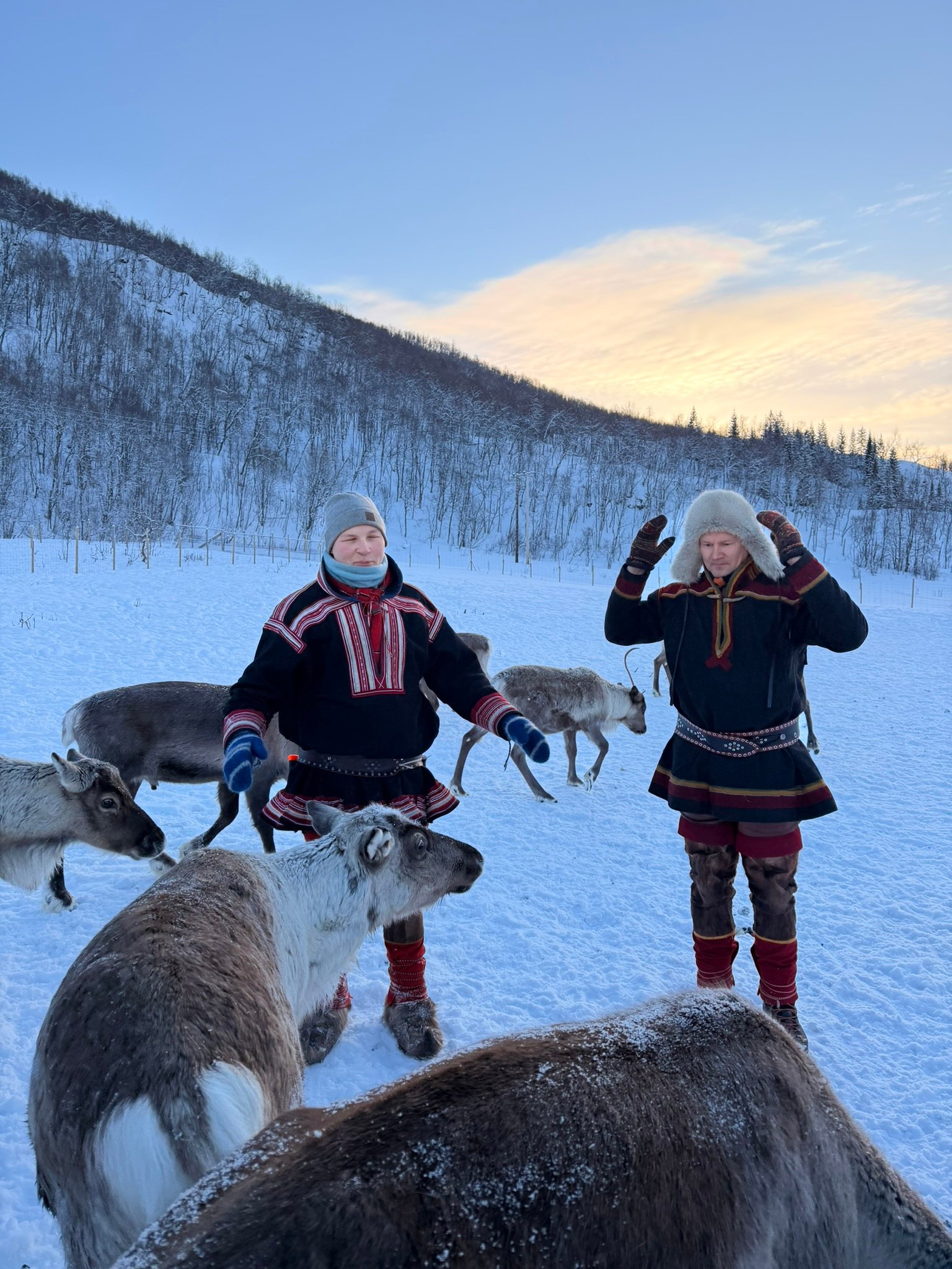 A Sámi guide with the reindeer
