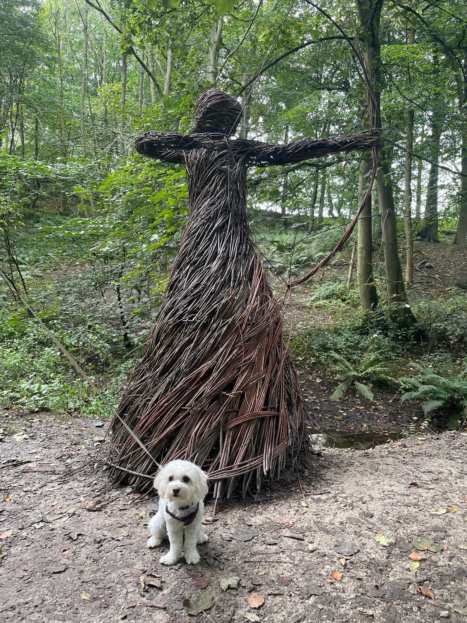 Woodland in Skipton