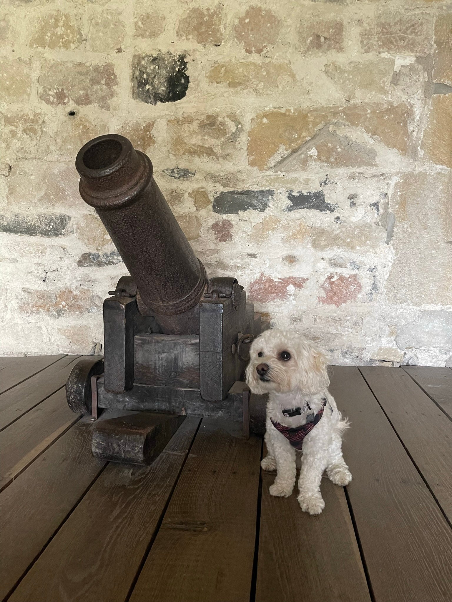 Skipton Castle