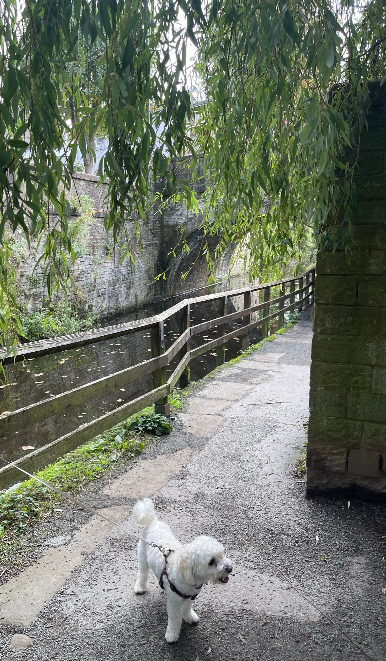 A trail near Skipton