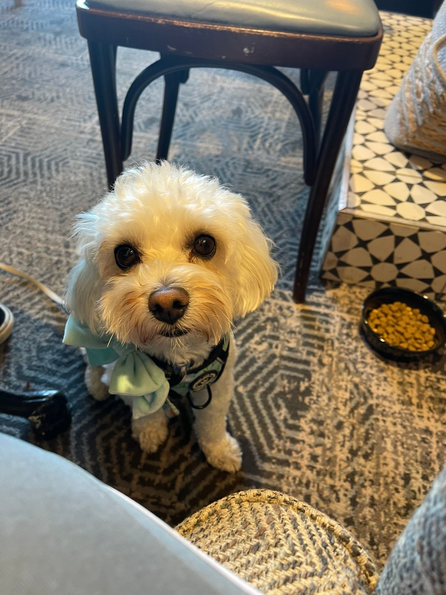 Breakfast with Cookie in Whitby