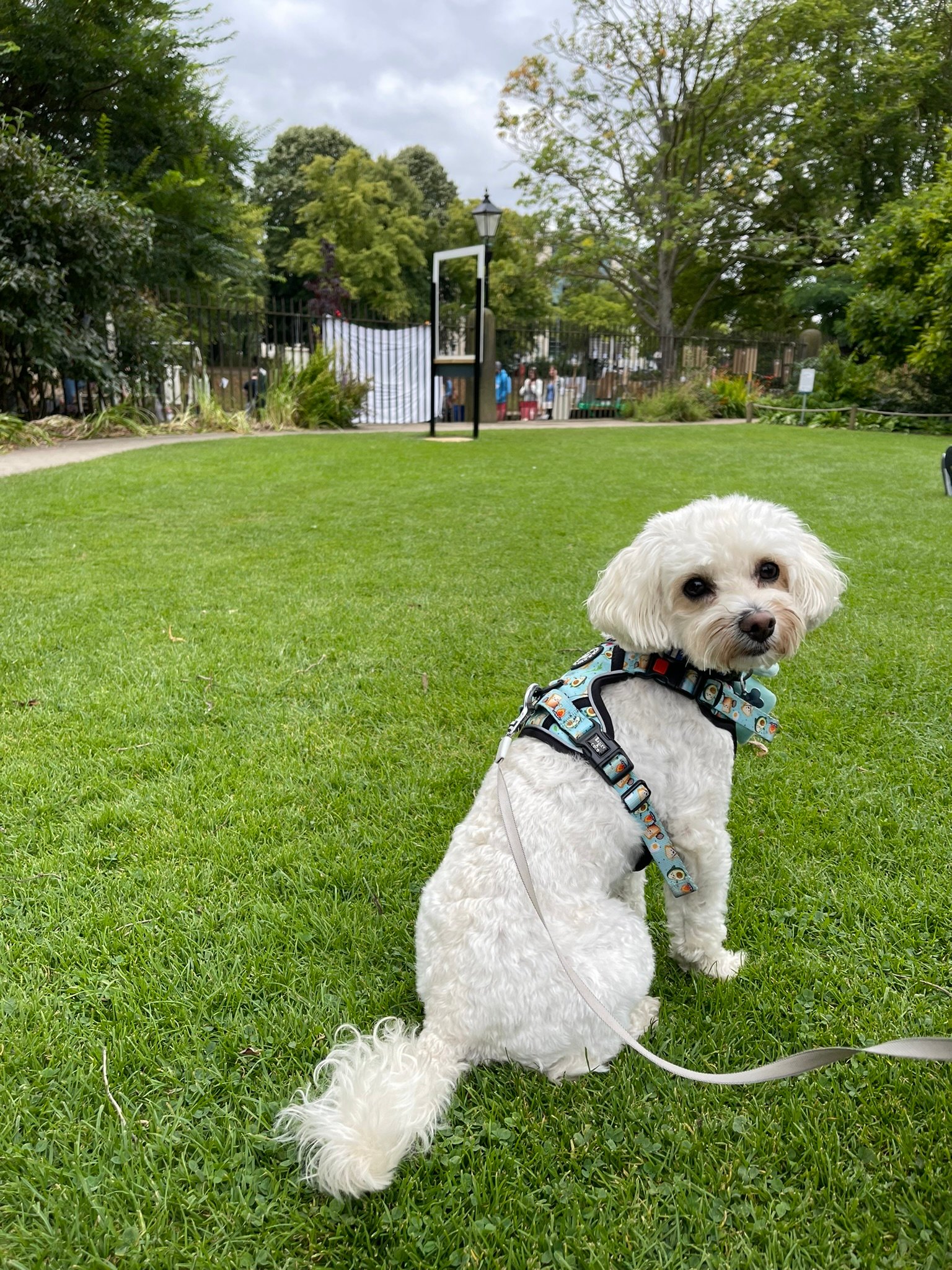 A park in York